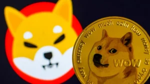 Dodge Quinn and Shiba Ino
