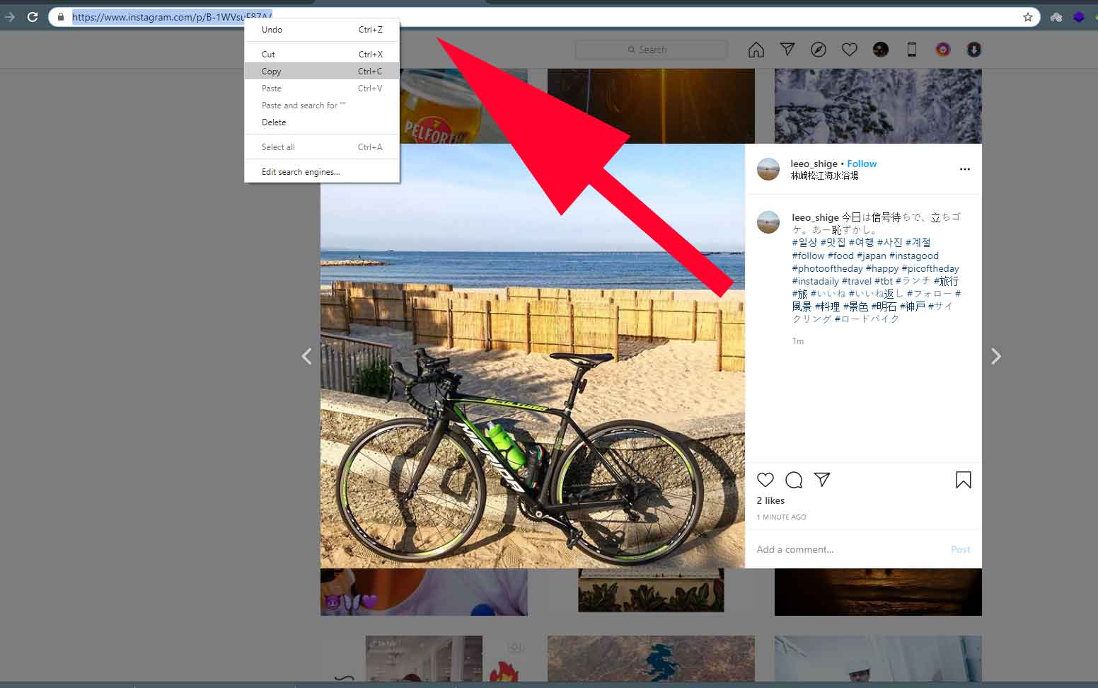 مراحل دانلود از اینستاگرام از طریق سایت downloadgram