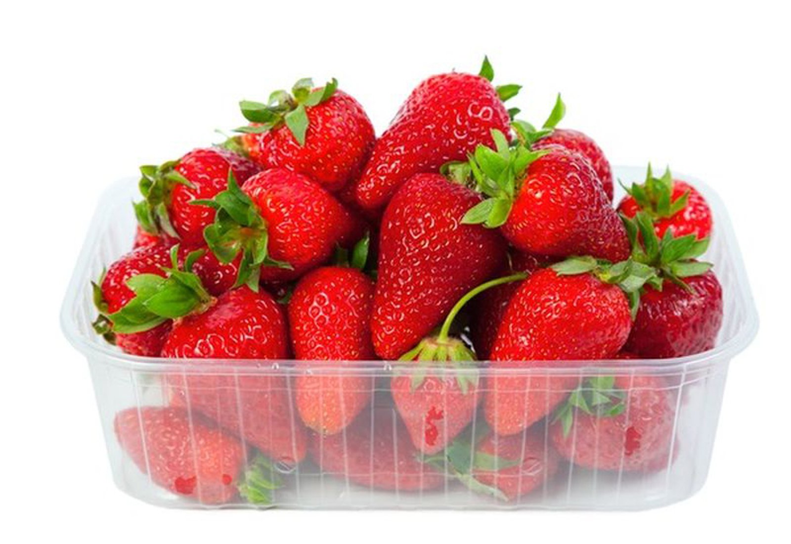 خرید توت فرنگی با کیفیت