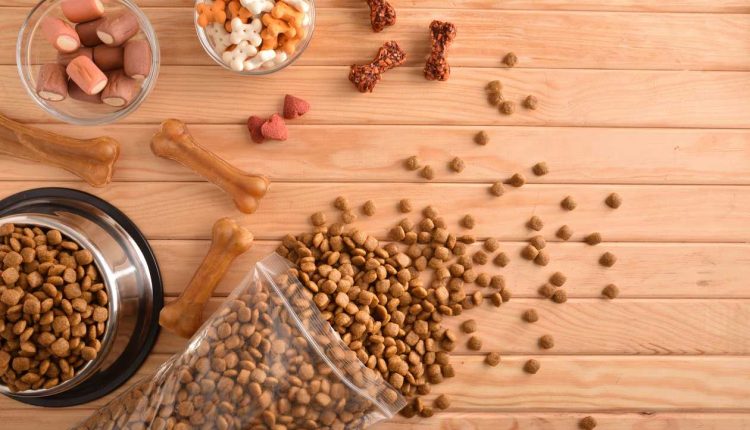 بهترین غذای خشک سگ