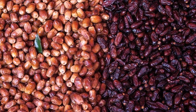 مزایای خرید عمده خرما از تولیدکننده