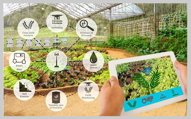 اینترنت اشیا در کشاورزی