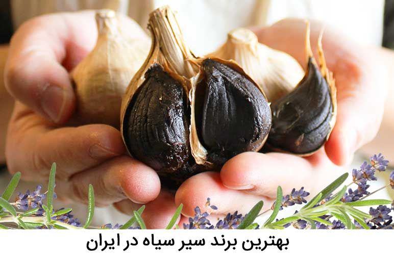 بهترین برند سیر سیاه در ایران