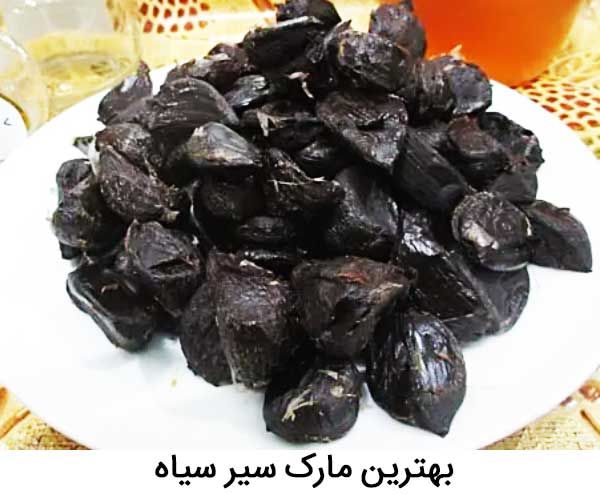بهترین مارک سیر سایه