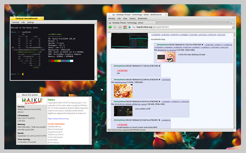 سیستم عامل haiku